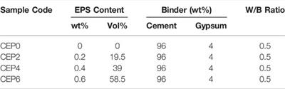 Thermal Performance Study of a Cement-Based Mortar Incorporating EPS Beads
